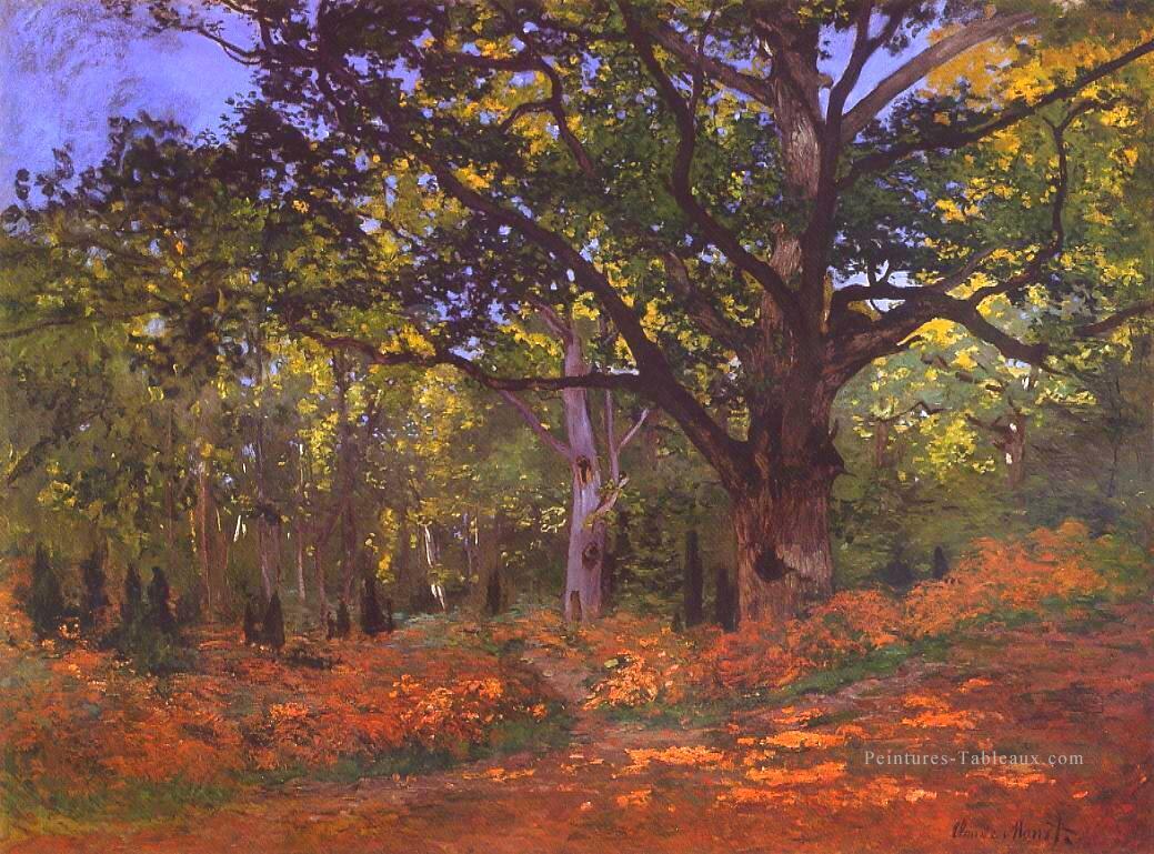 Le Chêne Bodmer Fontainebleau Claude Monet Peintures à l'huile